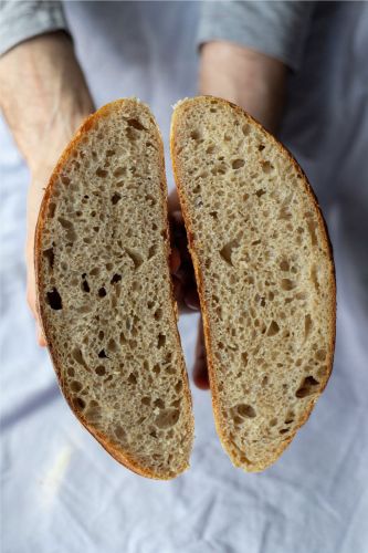 la-bottega-del-pane-marta-home-5